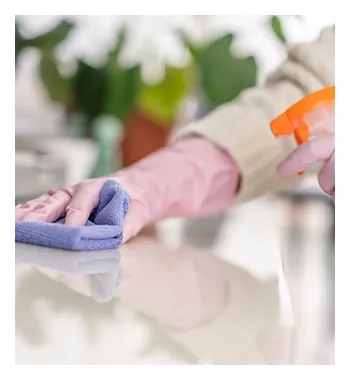 Regular Cleaning Services
